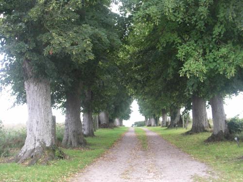 Manoir de Coulandon
