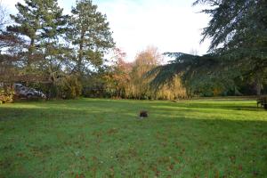 MANOIR DE GRAINCOURT