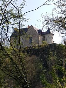 Maison d'hôtes Manoir de la coudre 2, La Coudre 53810 Changé Pays de la Loire