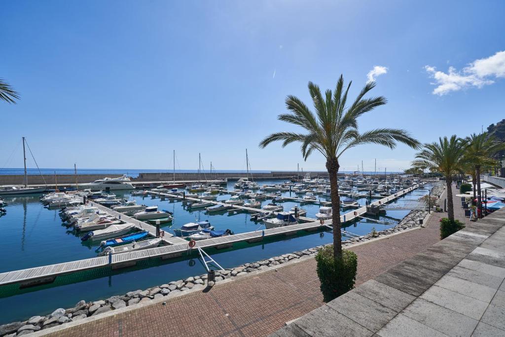 Marina Rooms Porto de Recereio da Calheta, Madeira Av. D. Manuel I, 9370-133 Calheta