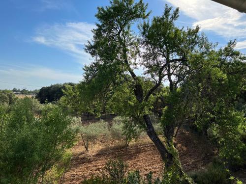 Mas Coeur de Provence Calme Luxe Grand Parc