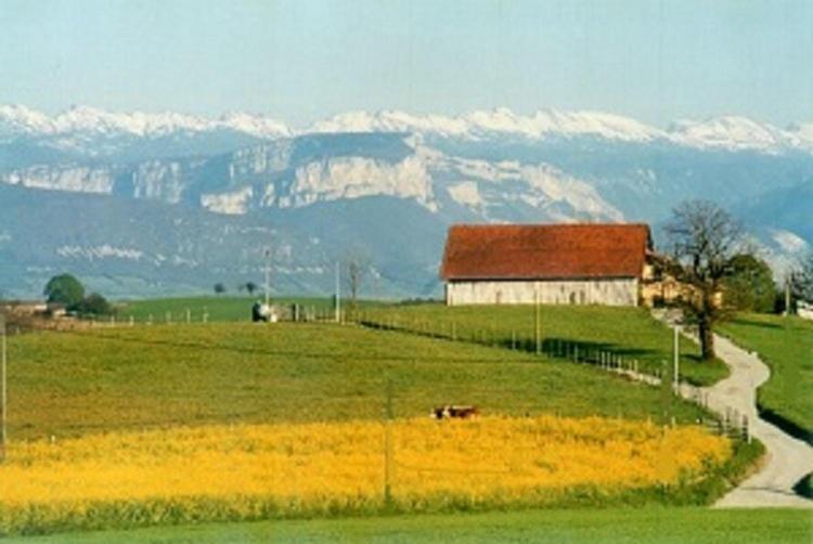 Mas Dansavan Chambres d'hôtes