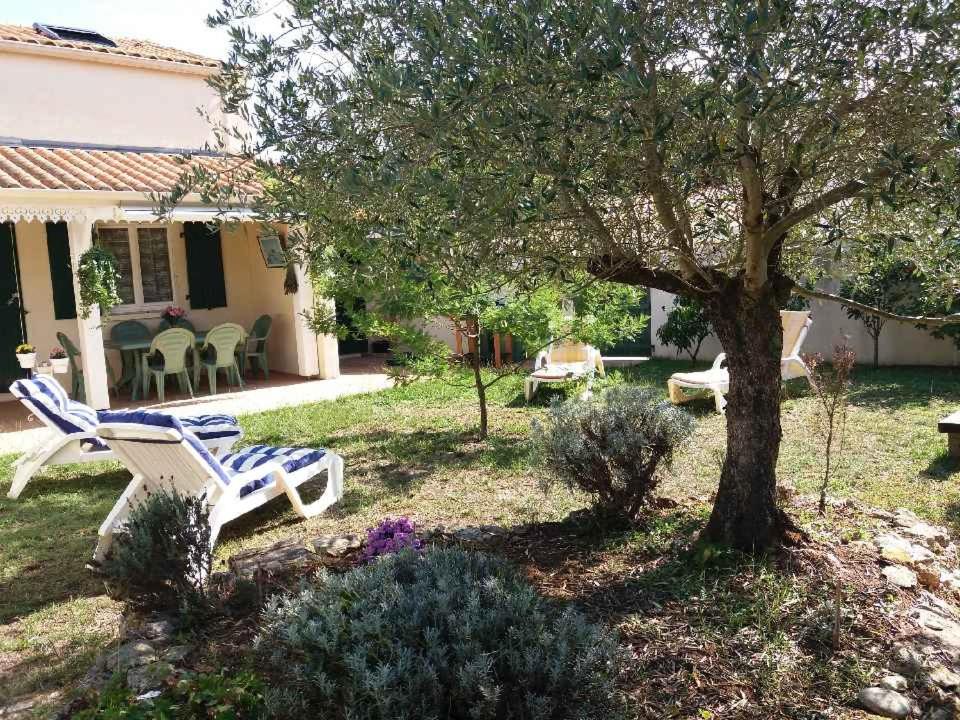 Mas des IRIS 13210 Saint-Rémy-de-Provence