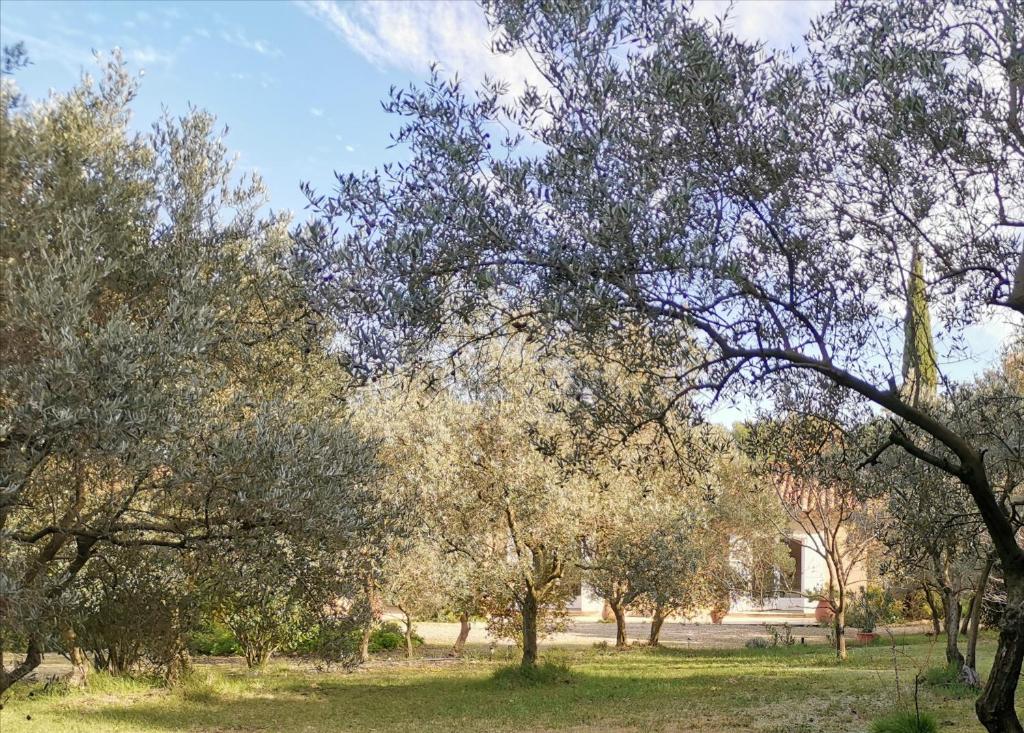 Maison d'hôtes Mas des Oursons - Chambres d'hôtes 32 Chemin du Pin 13200 Arles