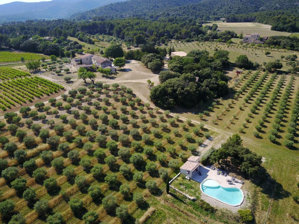 mas des pins 66750 Saint-Cyprien