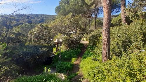 Massacan-Vue Mer