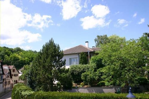 Meublé du vignoble - Piscine - Sauna - proche Strasbourg - Classé 3 étoiles