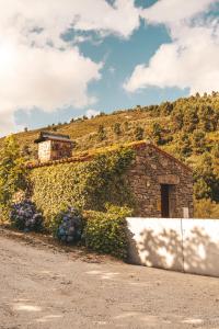 Maison d'hôtes Moinho d'Antoninha Lugar Do Cabeço De Lebrais 3620-198 Leomil Région Nord