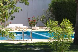 Monte dos Avós Village - Pet Friendly