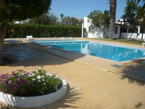 Maison d'hôtes Monte dos Avós Village - Pet Friendly Sitio da Arroteia 8800-102 Fuzeta Algarve