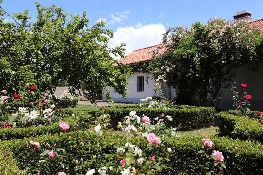 Monte dos Papa Figos Casa Nova das Cercas, Central da Bogalheira, Caixa Postal 5986, 7630-124 São Teotónio