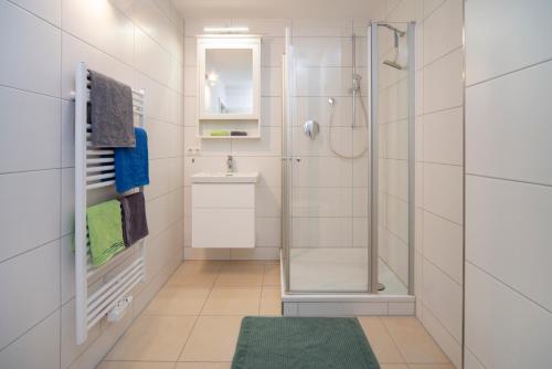 Monteur-/ Arbeiter-Apartment_ Wohnung 4