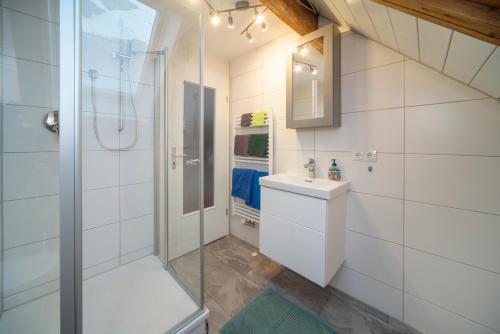 Monteur-/ Arbeiter-Apartment_ Wohnung 4