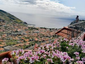 Moradia Cor de Rosa