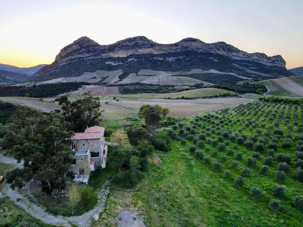 MULINU BIANCU HAUTE CORSE Domaine de MULINU BIANCU, 20232 Poggio-dʼOletta