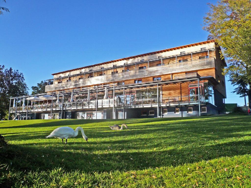 Maison d'hôtes Naturfreundehaus Bodensee Radolfzeller Straße 1 78315 Radolfzell am Bodensee