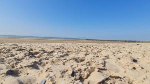 Ô de mer - à 20m de la plage