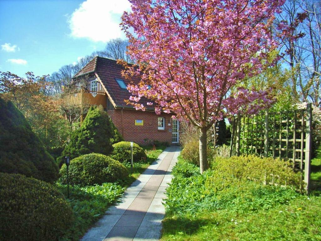 Ostsee-Pension An der Lindenallee Dammchaussee 64, 18209 Bad Doberan