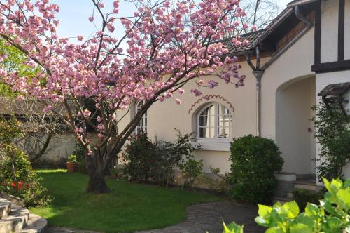 Maison d'hôtes Maison d'hôtes Paris Riverside 12 Rue Jean Mermoz Saint-Maur-des-Fossés