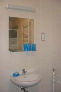 Maison d'hôtes Pension Am Steinberg Friedersdorfer Str.16 06774 Muldenstein Saxe-Anhalt