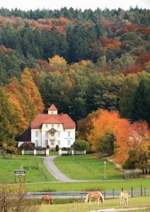 Maison d'hôtes Pension am Walde Eberbacher Weg 160 64743 Beerfelden Hesse