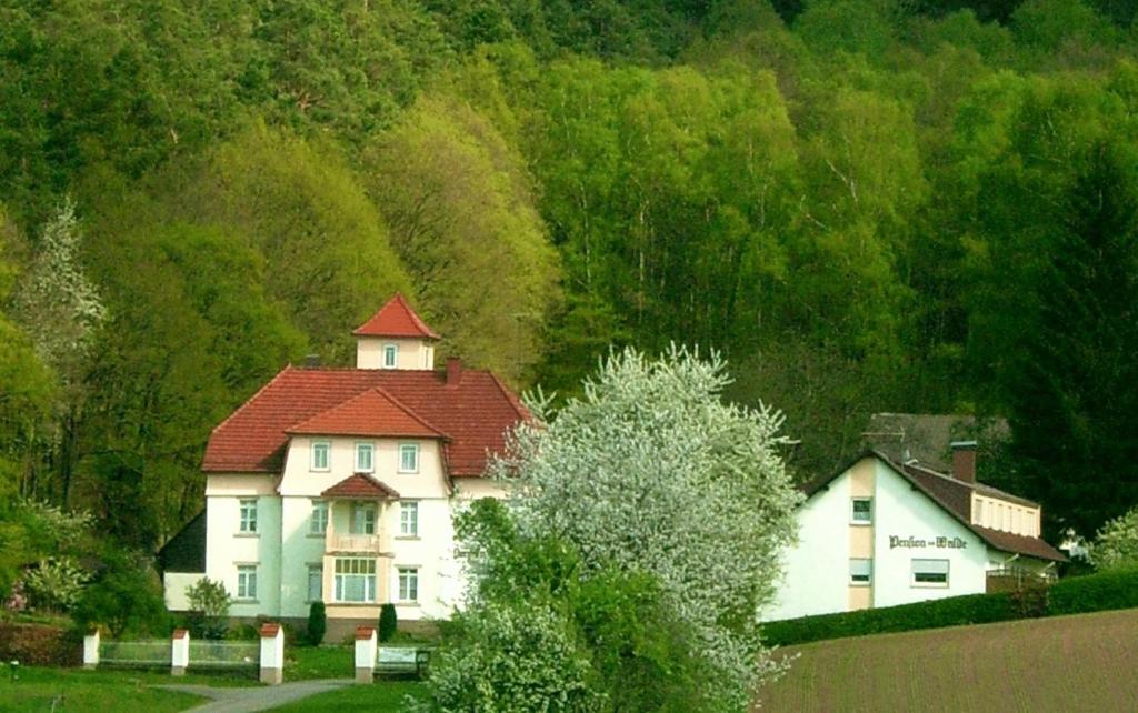 Maison d'hôtes Pension am Walde Eberbacher Weg 160 64743 Beerfelden