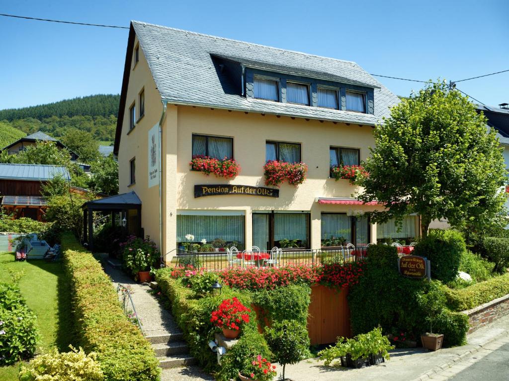 Pension Auf der Olk mit Röpertsmühle Auf der Olk 4, 54472 Veldenz