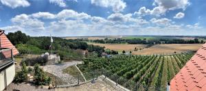 Pension Bella Vista - Winzerhof Golk