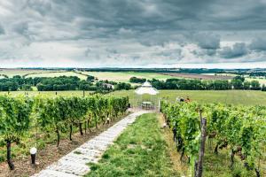 Maison d'hôtes Pension Bella Vista - Winzerhof Golk Zum Forsthaus 7 01665 Meissen Saxe