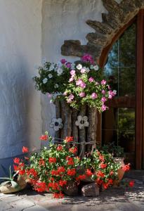 Pension Bergstub`n