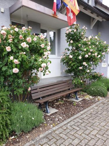 Pension Boitz