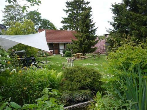 Pension-Drews-Ferienzimmer-3