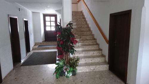 Pension Erbgericht
