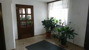 Pension Erbgericht