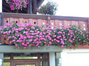 Pension Erna