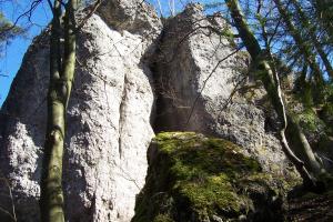 Pension Frauenschuh