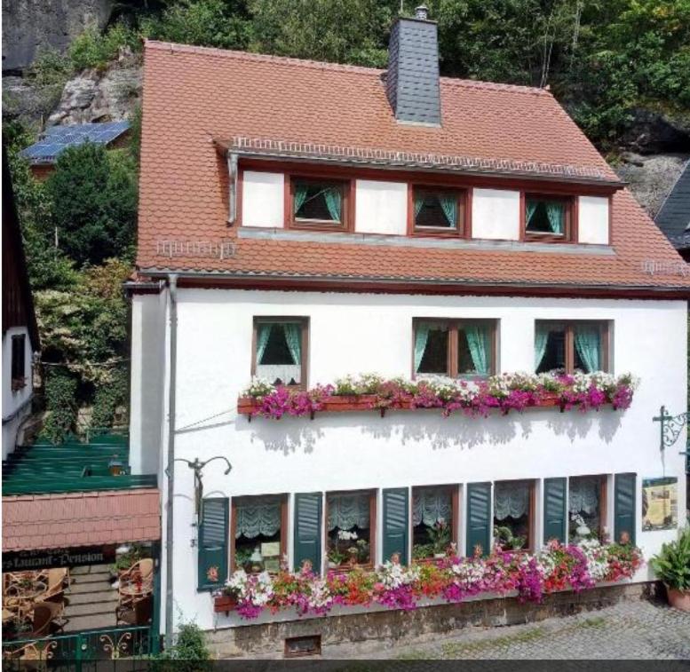 Pension Fuhrmann's Elb- Café Schmilka Nr. 31, 01814 Bad Schandau