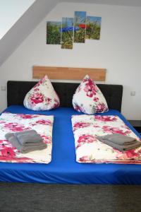 Pension-Gästehaus Oberscheven Leipziger Neuseenland