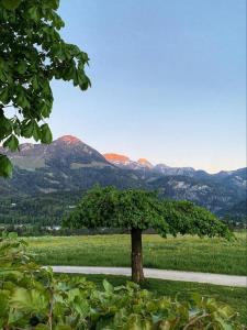 Pension Gasthof Kohlhiasl