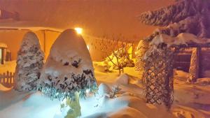 Pension & Gasthof \