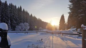 Pension & Gasthof \