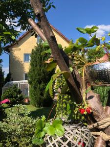 Pension Haus Bielke