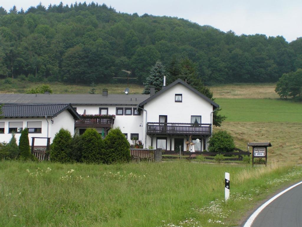 Maison d'hôtes Pension Haus Liesertal Haus Liesertal 54552 Üdersdorf