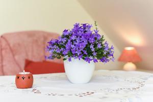 Pension Hohaus