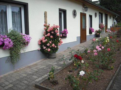 Pension Möhring