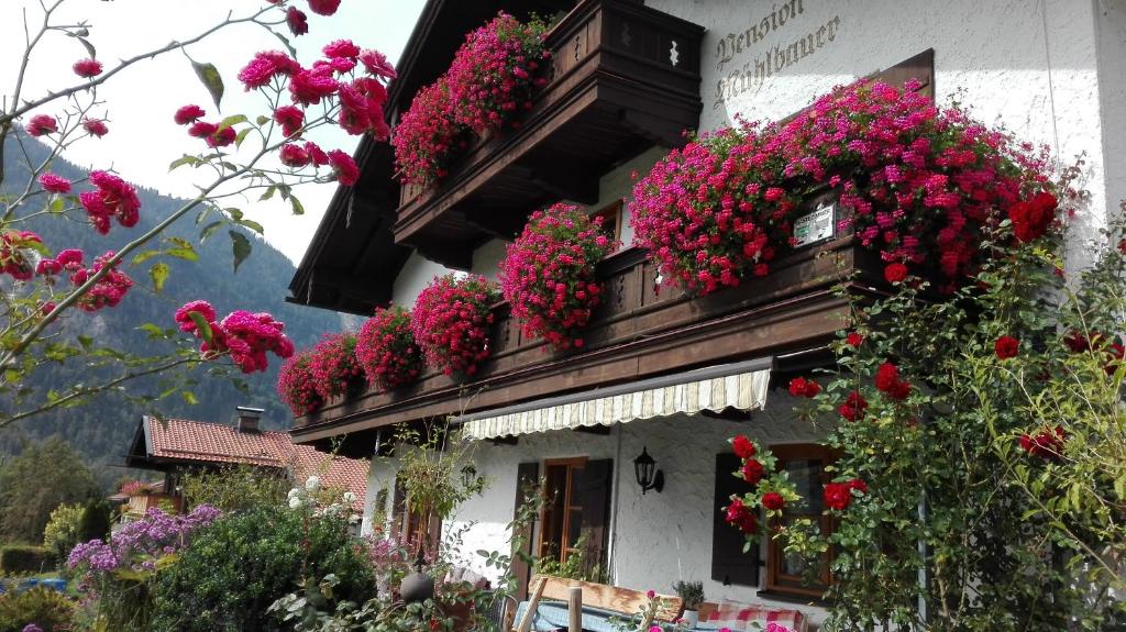 Maison d'hôtes Pension Mühlbauer 19 Sudelfeldstraße 83735 Bayrischzell