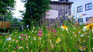 Pension Philippsreut \