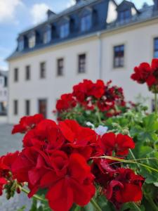Maison d'hôtes Pension Rio 29 Markt 08289 Schneeberg Saxe