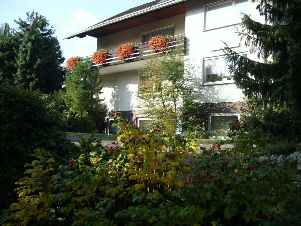 Maison d'hôtes Pension Rosenschlößchen Talweg 7 34508 Willingen