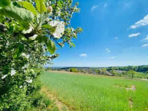 Maison d'hôtes Pension Schmitt Heissenweg 9 97705 Waldfenster Bavière